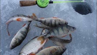 Смотреть видео смотреть видео зимней рыбалки