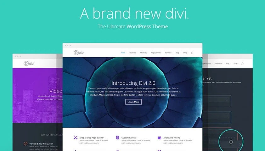 Divi WordPress Theme - Элегантные Темы