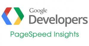 Google Page Speed ​​Insights   з'яўляецца інструментам, які дазваляе вымераць прадукцыйнасць вашага сайта